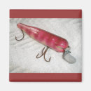 Recherche de insectes magnets Chenille