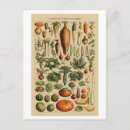 Suche nach alte küche postkarten Vintag