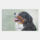 Suche nach bernese mountain dog aufkleber Rasse