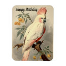 Recherche de tropical anniversaire magnets Vintage