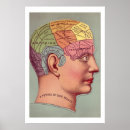 Suche nach phrenologie poster Kopf