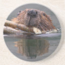 Suche nach biber untersetzer Niedlich