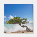 Suche nach aruba magnete Insel