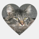 Suche nach katzengesicht aufkleber Gesichtspunkt