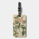 Suche nach insekten gepäckanhänger Tiere