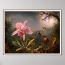 Suche nach martin johnson heade poster Kolibris