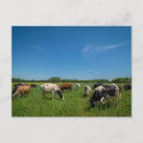 Suche nach farmer postkarten Bauernhof