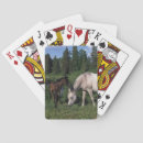 Suche nach araber spielkarten Equestrian