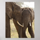 Suche nach bush poster Natur