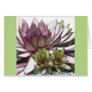 Recherche de désert peint cartes postales Sud ouest