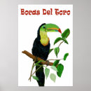 Suche nach tucan poster Natur