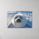 Suche nach animals leinwandbilder Animals in the wild