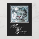 Suche nach wilder tiger postkarten Schnee