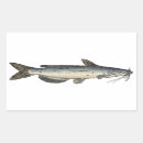Recherche de catfish autocollants Pêche