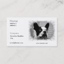 Suche nach boston terrier visitenkarten Welpe