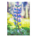 Recherche de nature copie posters Copies de nature