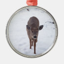 Recherche de métallique photographie Neige
