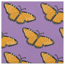 Recherche de papillon orange Moderne