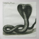 Suche nach kobra poster Giftig