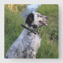 Suche nach feder wanduhren Jagd