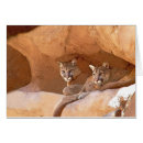 Recherche de puma vœux cartes Nature