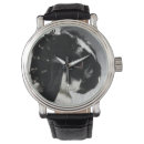 Recherche de lapin blanc montres Animaux