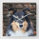 Suche nach tricolore wanduhren Hund