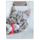 Suche nach niedliches kätzchen klemmbrett Kleintiere