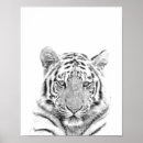 Recherche de tigre blanc noir posters Sauvage