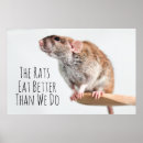 Recherche de rattie art Mignon