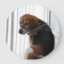 Suche nach alte hunde poster Beagle