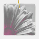 Recherche de rose et gris ornements Floral