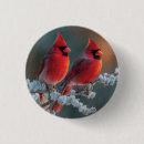 Suche nach roter kardinal buttons Schnee