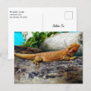 Recherche de reptile cartes postales Sauvage