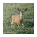 Suche nach deer fliesen Hirsche