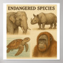 Suche nach gefährdet poster Meeresschildkröte