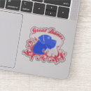 Suche nach kontakt aufkleber Haustier