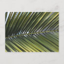 Suche nach leaf blatt tree baum Pflanze