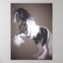 Recherche de gitan posters Vanner