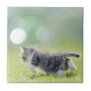 Suche nach selektiver fokus fliesen Consumerproduct