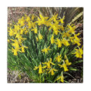 Recherche de jonquille carreaux Jaune
