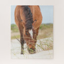 Recherche de mustang puzzles Faune