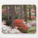 Suche nach azaleen mousepads Pine mountain