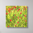 Suche nach mohn leinwandbilder Feld