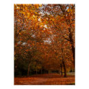 Suche nach herbstbäume poster Natur