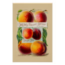 Recherche de agriculteurs posters Jardin