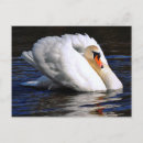 Suche nach sail postkarten Natur