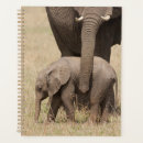 Recherche de espèces bureau fournitures Éléphant