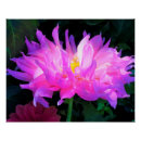 Recherche de cactus rose posters Fleur