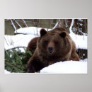 Recherche de berne posters Ours